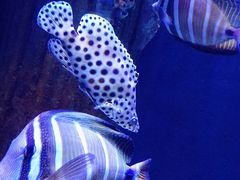 -成都浩海立方海洋公园