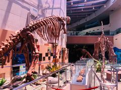 -陕西自然博物馆