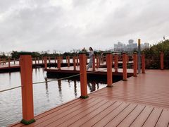 -芒洲湿地公园