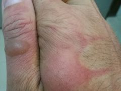 -香港皇家太平洋酒店