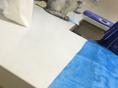 -芭比堂动物医院·犬猫全科·异宠专科(雁塔分院)