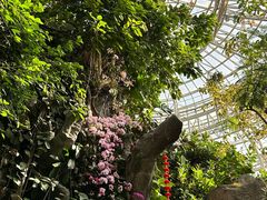 -郑州植物园