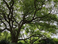 -中国茶叶博物馆(双峰馆区)