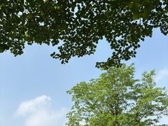 -黑龙江省森林植物园