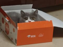 -贝利宠物医院·骨科·眼科·肿瘤转诊中心(南坪诊疗中心)