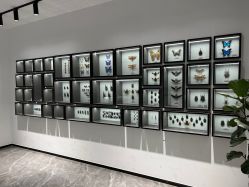 -酷嗒动物文化乐园(cutezoo西溪乐天城店)