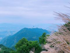 -梧桐山风景名胜区