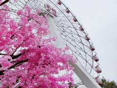 -东湖磨山景区