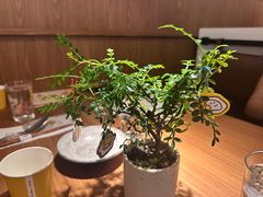 -CURRY YA 熟成咖哩專門店(深圳湾万象城店)