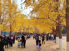 -辽宁大学(崇山校区)