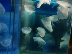 -七彩云蛋糕店(滨江二路店)