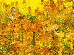 -中国天府农业博览园