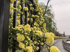 -相门城墙文化休闲景区