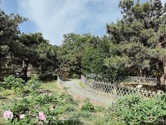 -北京西山国家森林公园