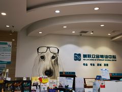 -美联众合动物医院·24h转诊中心