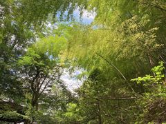 -藏龙百瀑风景区