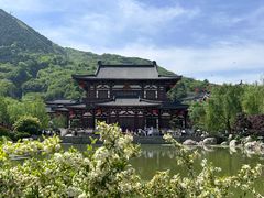 -华清宫景区