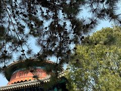 -大钟寺古钟博物馆