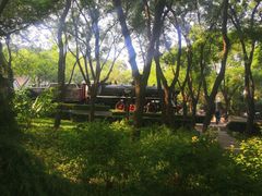 -玲珑塔公园