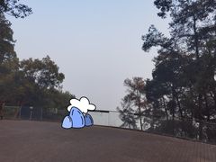 -缙云山景区