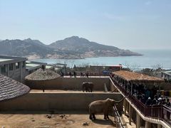 -西霞口神雕山野生动物世界