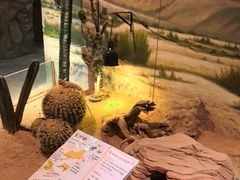 -正佳雨林生态植物园