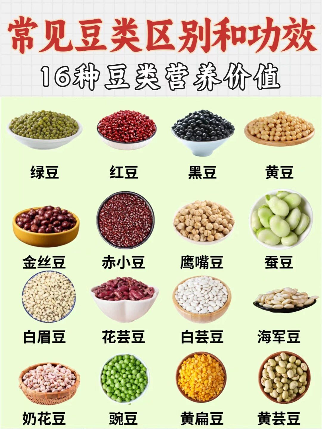 绿豆2.红豆3.黑豆4.黄豆5.金丝豆6.赤小豆7.鹰嘴