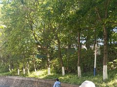 -昆明动物园