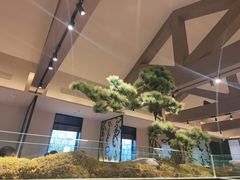 -单家老院·院子里的青岛菜(沙子口店)