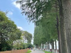 -太阳岛度假酒店