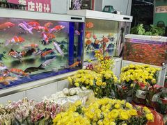 -循礼门鲜花花市(武汉循礼门店)