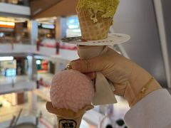 -野人先生现做冰淇淋(北京环宇荟店)