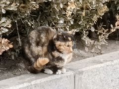 -炳灵寺世界文化遗产旅游区