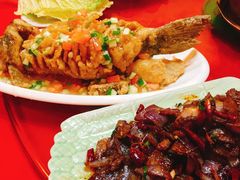 松鼠鱼-王城醋血鸭老店
