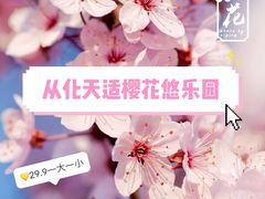 -天适樱花悠乐园