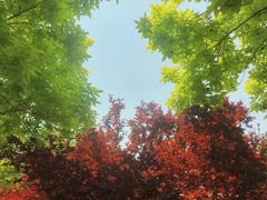 -北京西山国家森林公园