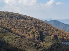 -灵山