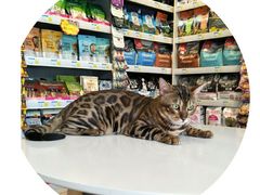 -我爱吾宠宠物美容院(朝阳路店)