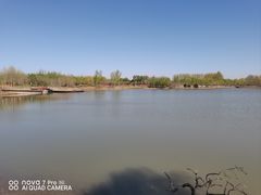 -东郊湿地公园