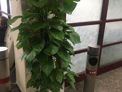 -中国银行(上海市梅陇支行)