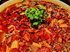 精品毛血旺-陈麻婆豆腐(旗舰店)