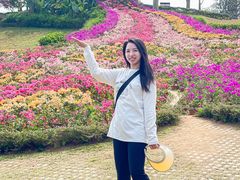 -东莞植物园