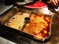 -九鼎轩脆毛肚火锅(南京东路店)