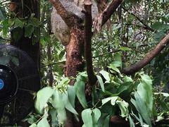-广州长隆野生动物世界