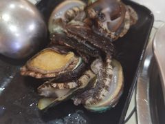 鲍鱼-大连海鲜斑鱼火锅(安平店)