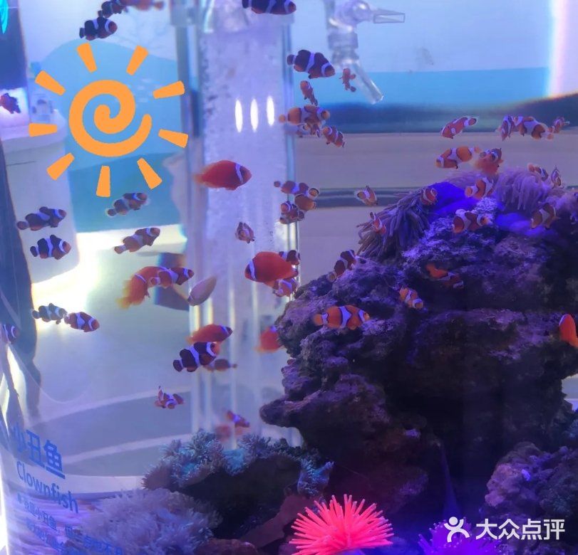 快来海底世界看小鱼呀～[加油]