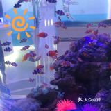 快来海底世界看小鱼呀～[加油]