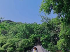 -南宁良凤江国家森林公园