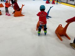 -世界之窗阿尔卑斯冰雪世界