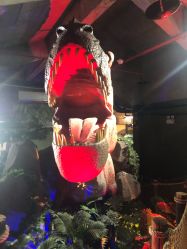 -恐龙探索乐园(磁器口店)